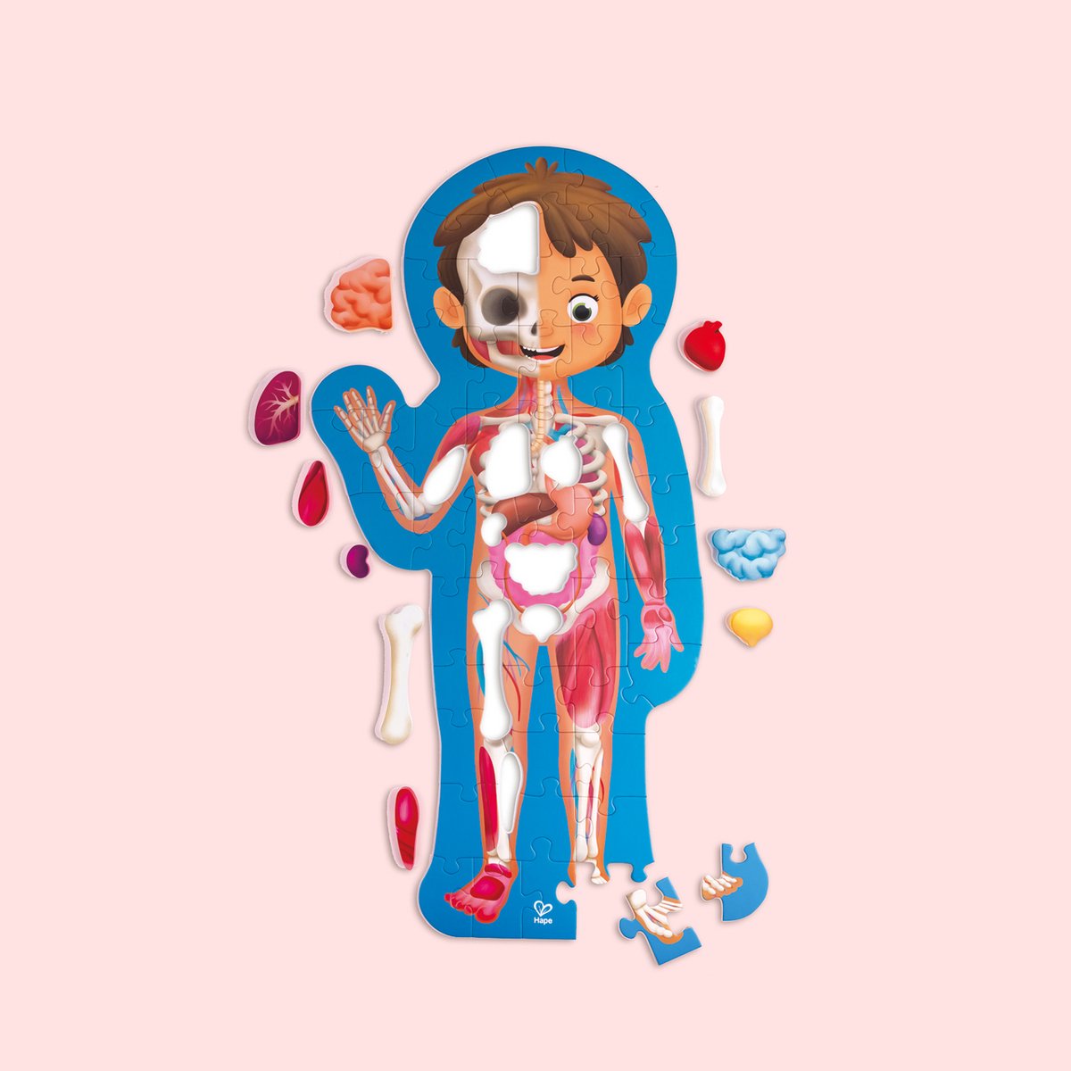 Puzzle Hape sul corpo umano - Puzzle anatomico da 61 pezzi con organi 3D e poster, a partire da 3 anni