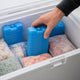 Elementi refrigeranti Alpina – 4 pezzi – 220 ml – blocchi refrigeranti per borsa frigo e borsa frigo – riutilizzabili