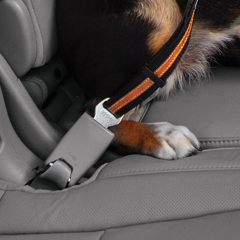 Presilla para cinturón de seguridad para perros Kurgo - cinturón de seguridad con mosquetón - se adapta a cualquier cinturón de coche - negro gris
