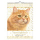 Calendario compleanno gatto Franciens Jeroen - a4