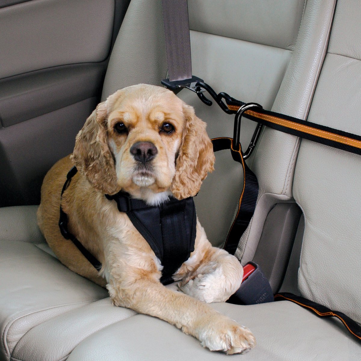 Kurgo - tirolesa automática para perros - negro naranja