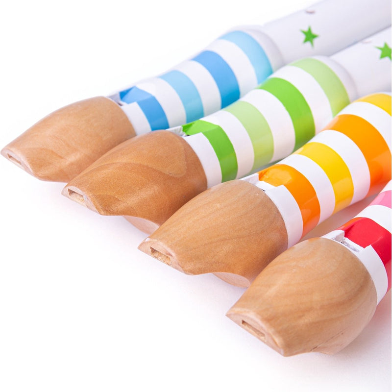Grabadora Bigjigs (12)