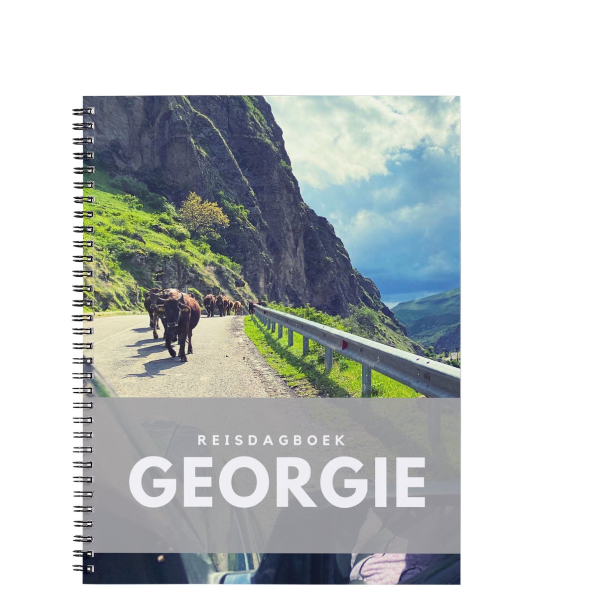 Anika redhed reisdagboek georgië - schrijf je eigen reisboek