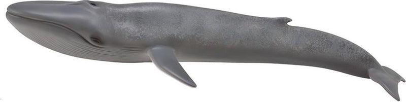 Statuetta Collecta - balenottera azzurra - (xl) - animali marini - dipinta a mano - miniatura