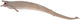 Statuetta Collecta - basilosaurus - (xl) - preistoria - dipinta a mano - miniatura