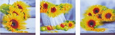 Diamond dotz® Diamond dotz dd14.001, juego original de pintura de diamantes 5d Días de girasol, paquete para manualidades con 28.144 piedras redondas, dotz para adultos, paquete para hobby de aprox. 142 x 42 cm para niños a partir de 8 años