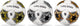 Legend de Mondo Football, 21.5cm