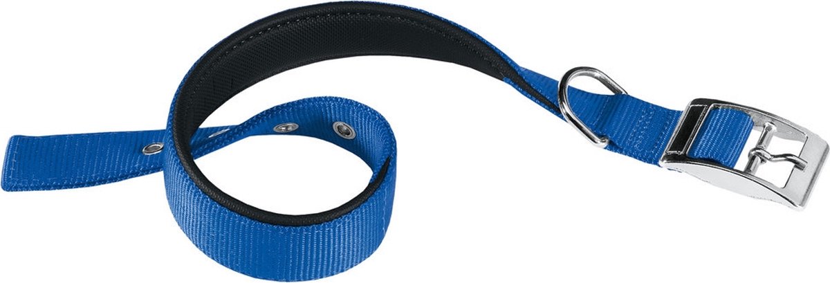 Collare per cani Ferplast daytona 45 x 2,5 cm acciaio nylon blu