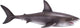 MOJO SEALIFE Great White Shark 381012