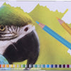 Bruynzeel Parrot 45 colored pencils