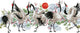 Diamond dotz® diamond painting volwassenen - ronde steentjes - volledig pakket - hobby - - dd8.011 - dieren - vogeldans 77 x 32cm