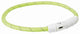 Trixie Collar Dog Flash Light Collar USB TPU Nylon Green