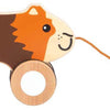 Piccolo piede - Trekcavia di legno