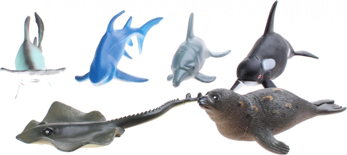 Ocean Dieren, 6st