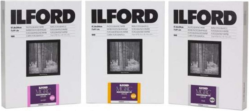 Ilford 1x100 mg rc dl 1m 13x18