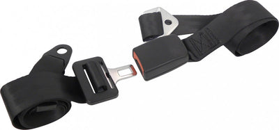 Cinturón de seguridad de Carpint 2 puntos 2-lado Black ajustable
