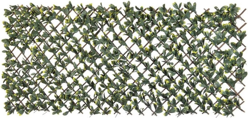 Naturaleza Latwerk con California Liguster Verde y amarillo Tade 90x180 cm