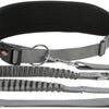 Trixie Jogging Line Gray