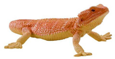 Mojo Wildlife Beardagaam - 381096