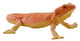 Mojo Wildlife Beardagaam - 381096