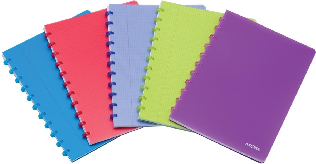 Atoma schrift a4 ruit 4x8mm 144blz pp assorti - 10 stuks