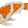 Mojo sealife koi karper - ochiba shigure koi - 381104