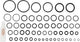 Gamma Kirchhoff di o-ring - gomma - con grasso per rubinetto 7 g (58x)