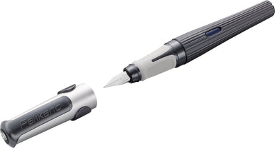 Pluma estilográfica Pelikan o estructura - diestro - gris