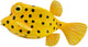 Statuetta Collecta - pesce scatola giallo - (s) - animali marini - dipinta a mano - miniatura