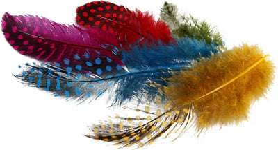 Plumas de gallina de Guinea de la empresa Creativ, aprox. 100 piezas, varios colores, 3 g 1 caja
