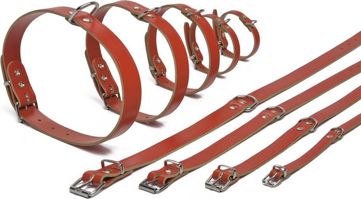 Beeztees - collare per cani - pelle - rosso - 37,5-46,5 cm x 20 mm