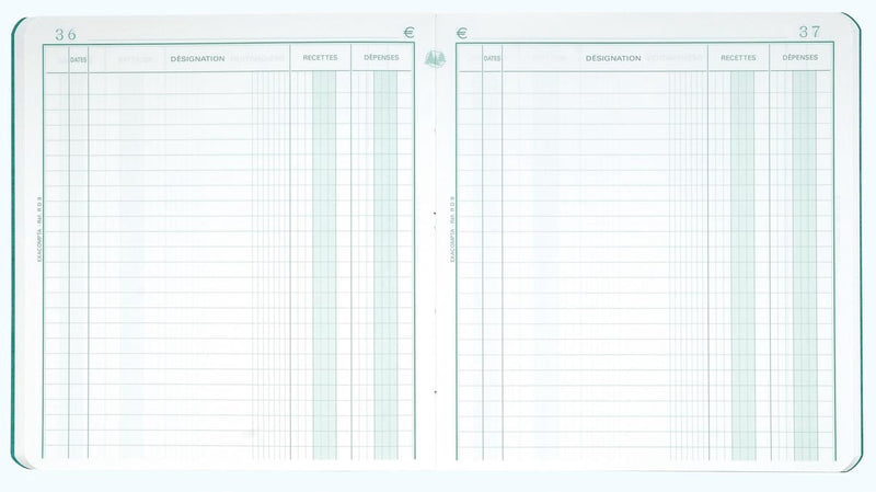 Exacompta entrate e uscite, ft 21 x 19 cm, olandese