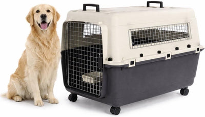 Caja de viaje para perros Flamingo - caja para coche - caja de transporte para perros - fomad gris oscuro xl (60x90x68,5 cm) - plástico - con cerradura de seguridad en la puerta de metal - incluidas ruedas para recipientes para comida y bebida -