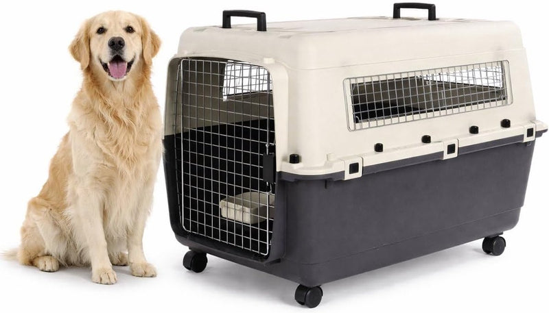 Flamingo trasportino da viaggio per cani - trasportino per auto - trasportino per cani - fomad grigio scuro xl (60x90x68,5 cm) - plastica - con chiusura di sicurezza della porta in metallo - comprese ruote per cibo e bevande -