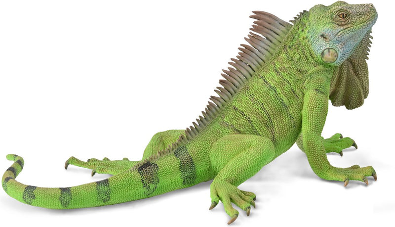 Statuetta Collecta - iguana verde - (xl) - animali selvatici - dipinta a mano - miniatura