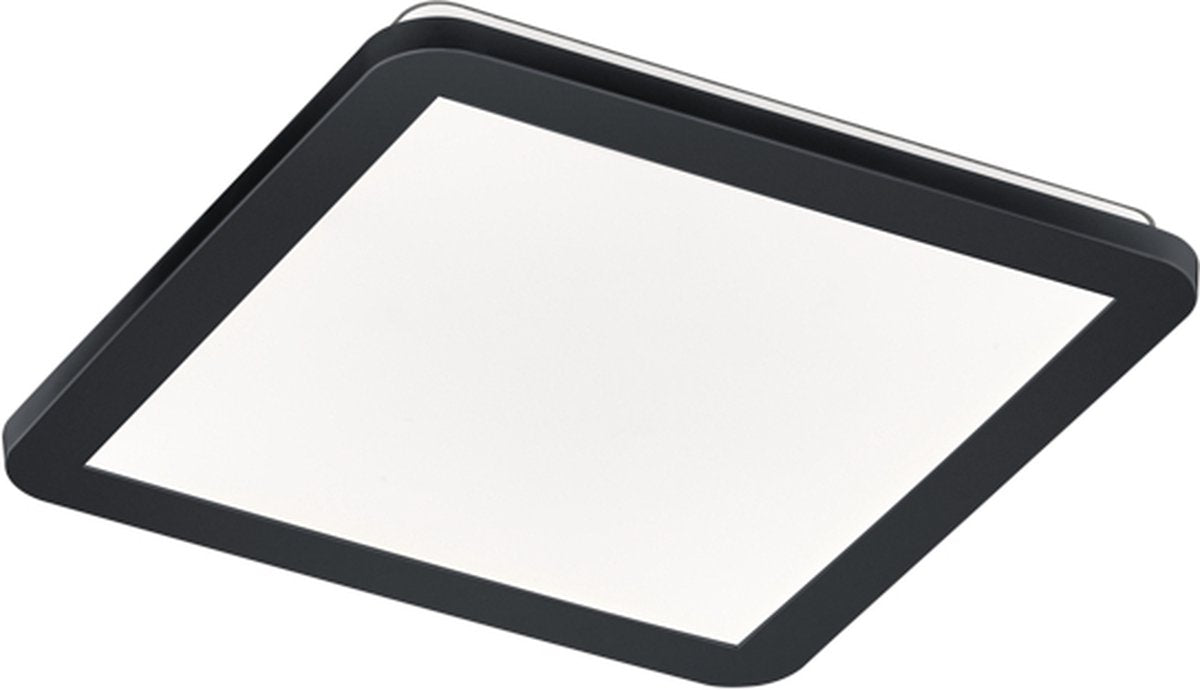Rl live your light reality camillus - lampada da soffitto - nero opaco - incl. 1x SMD 16 W - dimmerabile con interruttore - non adatto per dimmer esterno - montaggio a parete e soffitto - illuminazione bagno