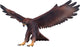 Mojo Wildlife Steenarend 381051