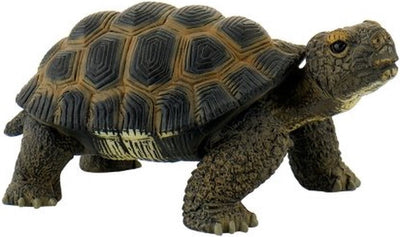 Tortuga Bullyland (63553)
