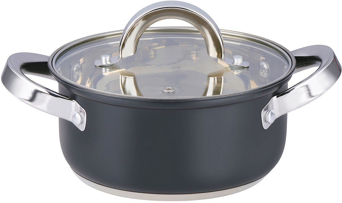 Alpina kookpan met deksel 1,9 liter – rvs pan 16 cm – inductie – glazen deksel – geschikt voor alle warmtebronnen