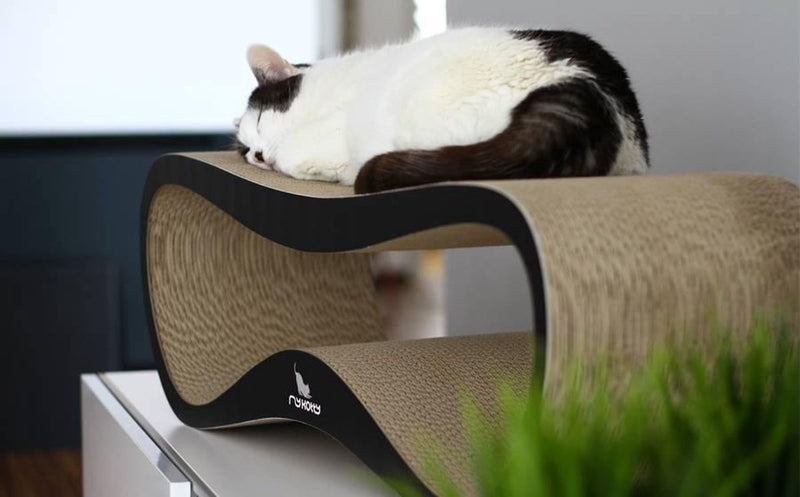 Mykotty lazy - tiragraffi - nero - 75 cm x 25 cm