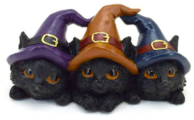 Brujas trío de gato negro en sombrero de bruja