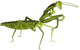 Modello di carta 3D Fridolin - mantide religiosa.