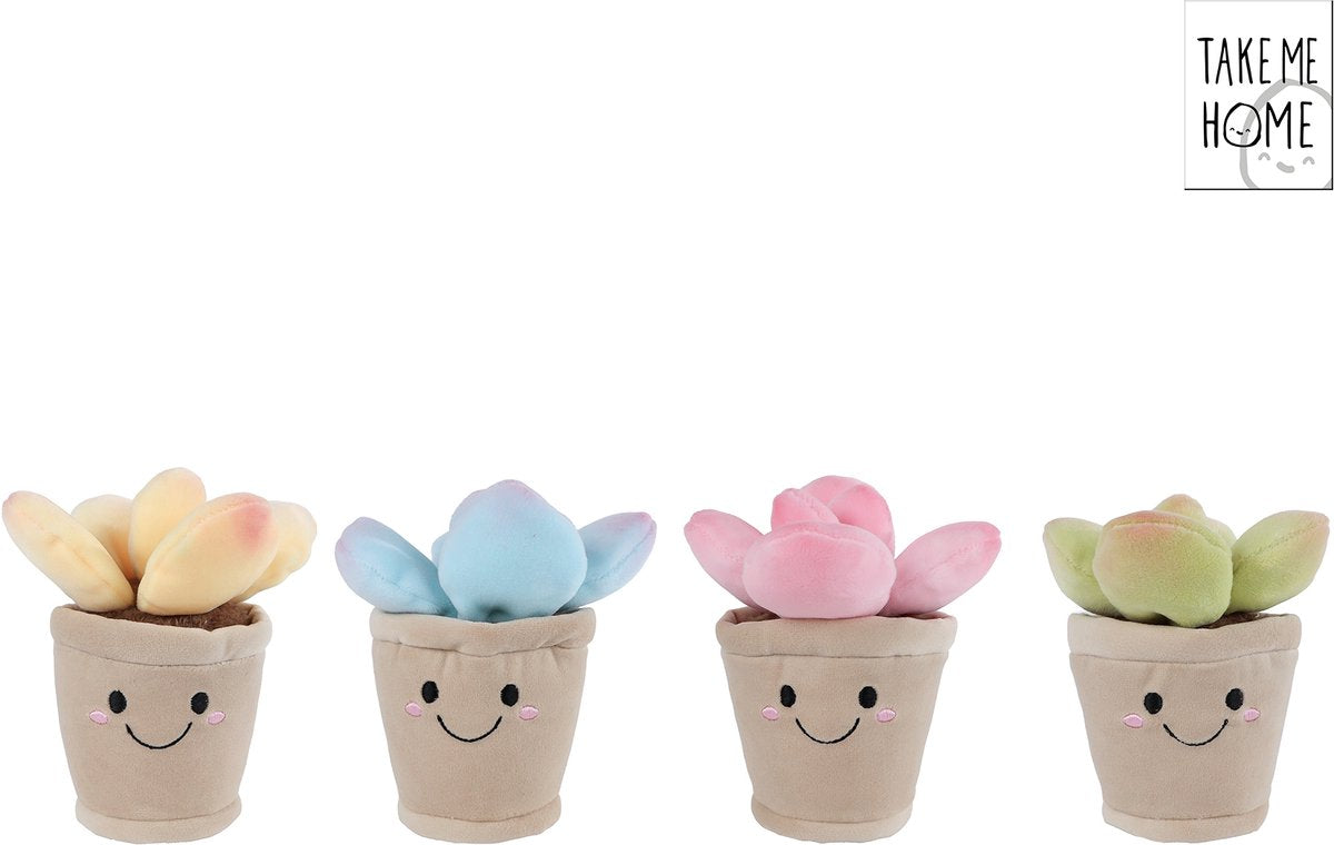 Peluche planta Llévame a casa - 13cm