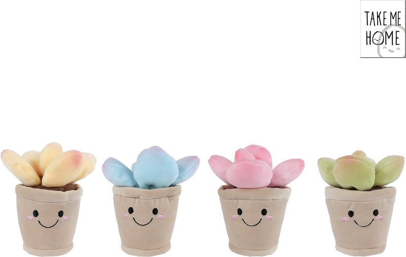 Peluche planta Llévame a casa - 13cm