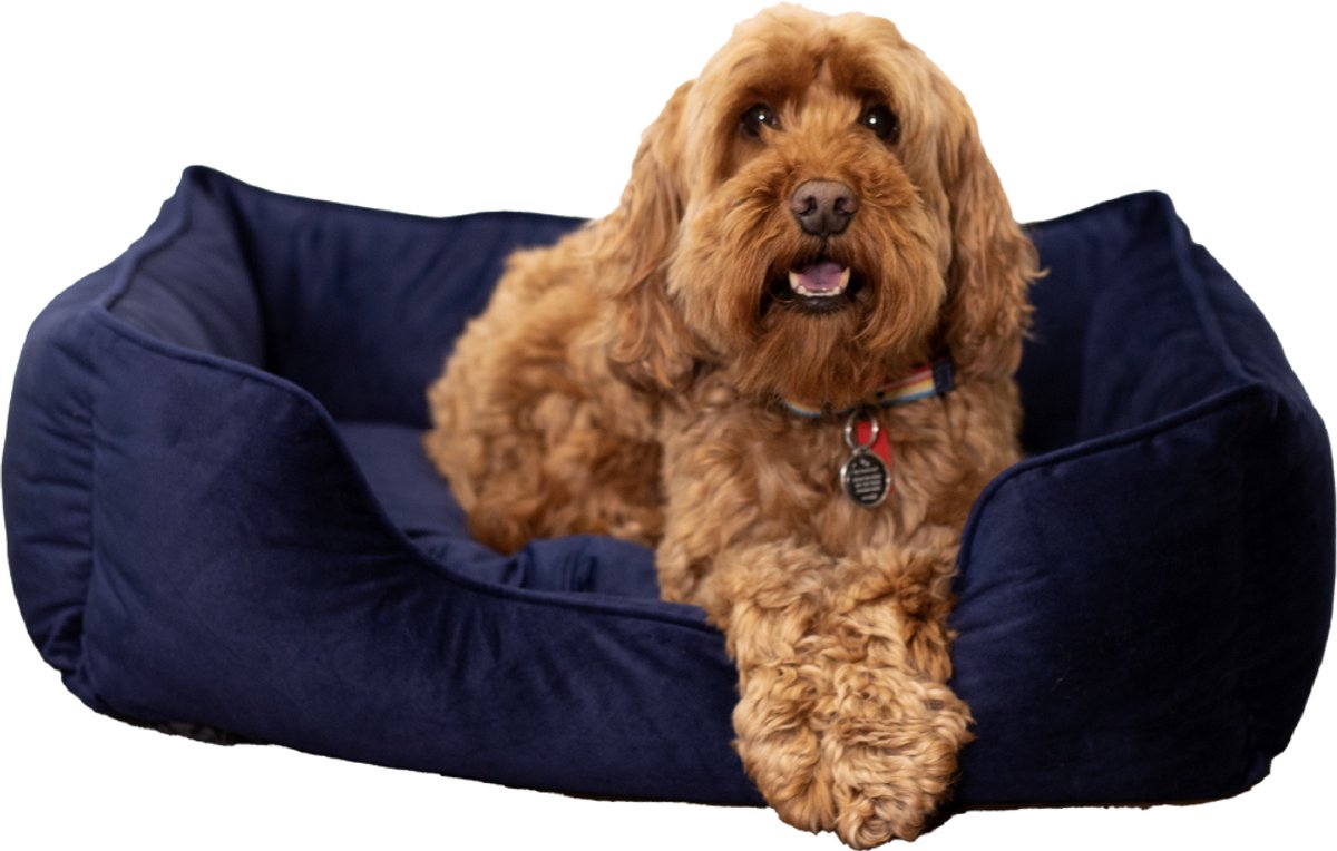 Cuccia per cani in velluto di lusso in palissandro - piccola - cuccia per cani morbida e confortevole - blu navy - elegante lettino per cani e gatti - 46 x 36 cm