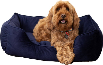 Cuccia per cani in velluto di lusso in palissandro - piccola - cuccia per cani morbida e confortevole - blu navy - elegante lettino per cani e gatti - 46 x 36 cm