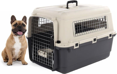 Caja de viaje para perros Flamingo – Caja para coche – Caja de transporte para perros – Fomad gris oscuro m (53x67x47 cm) – Plástico – Con puerta metálica con cerradura de seguridad – Incluye comedero y bebedero –