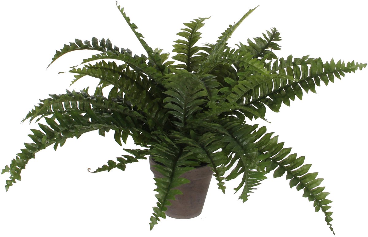 Decoraciones de mica planta de helecho artificial - verde - en maceta de terracota - h42 cm - planta falsa - plantas artificiales plantas falsas