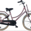 Alpina Cargo M20 Wood Rose Matt