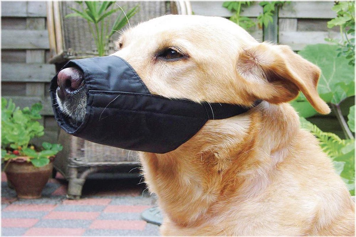 Museruola di sicurezza per cani Beeztees l - 18,5 cm - museruola - nylon - nera